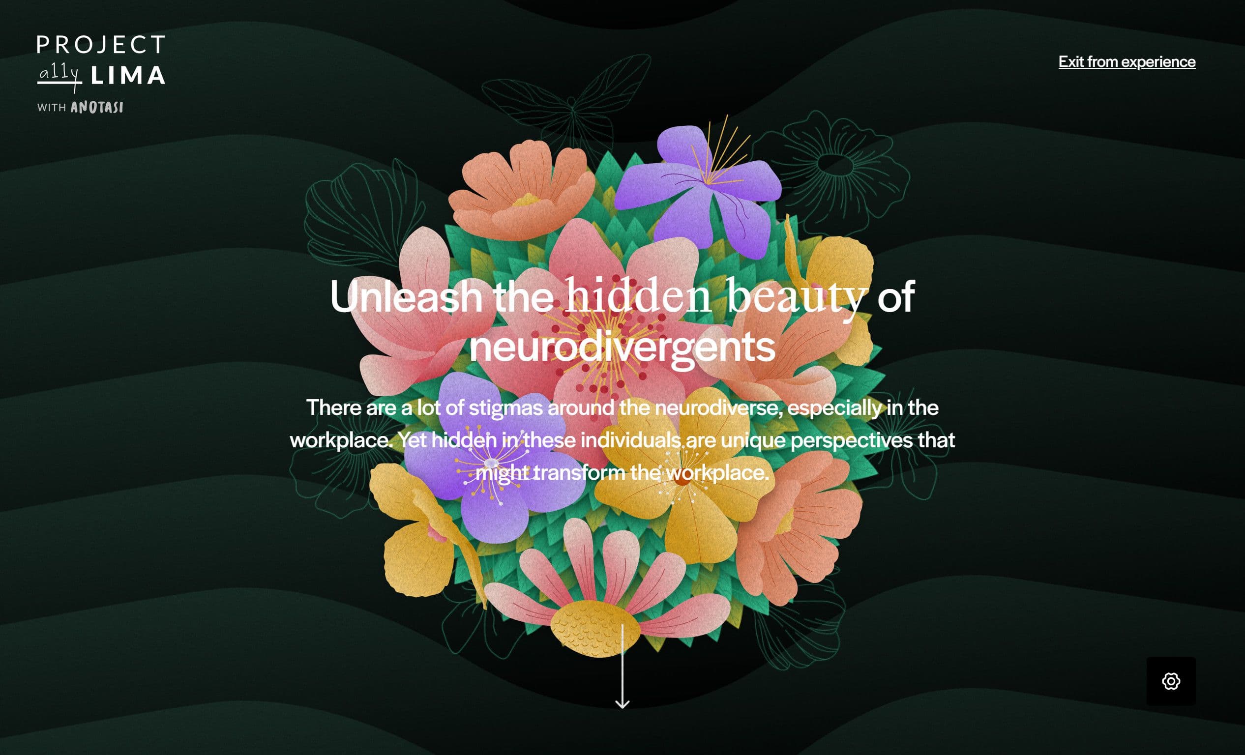 Website von Projekt Lima verwendet "Diversity" im Webdesign