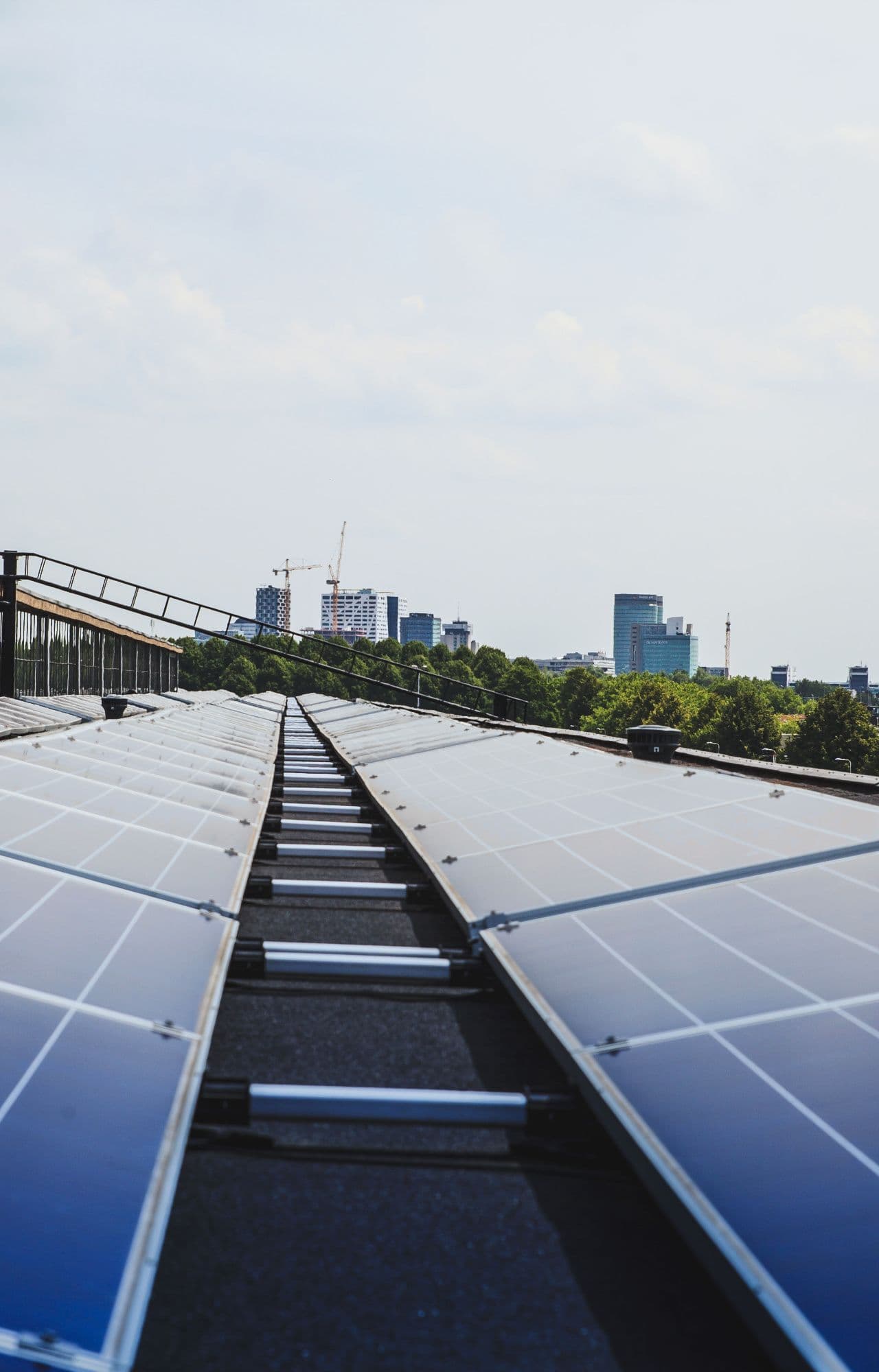 Fotografie von Solaranlagen aus dem Website-Projekt IGP Advantag als Beispiel für den Nachhaltigen Leistungsansatz des Unternehmens, der sich in der Bildsprache des Webdesigns wiederfindet