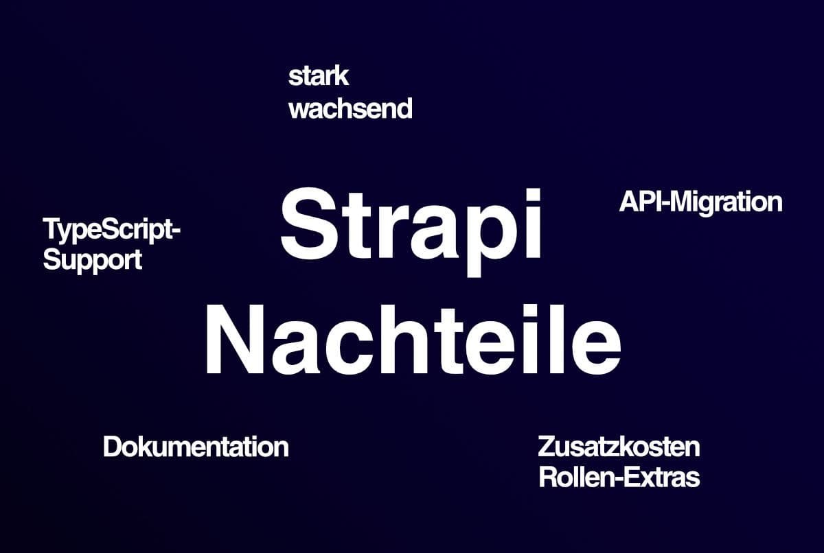 strapi nachteile