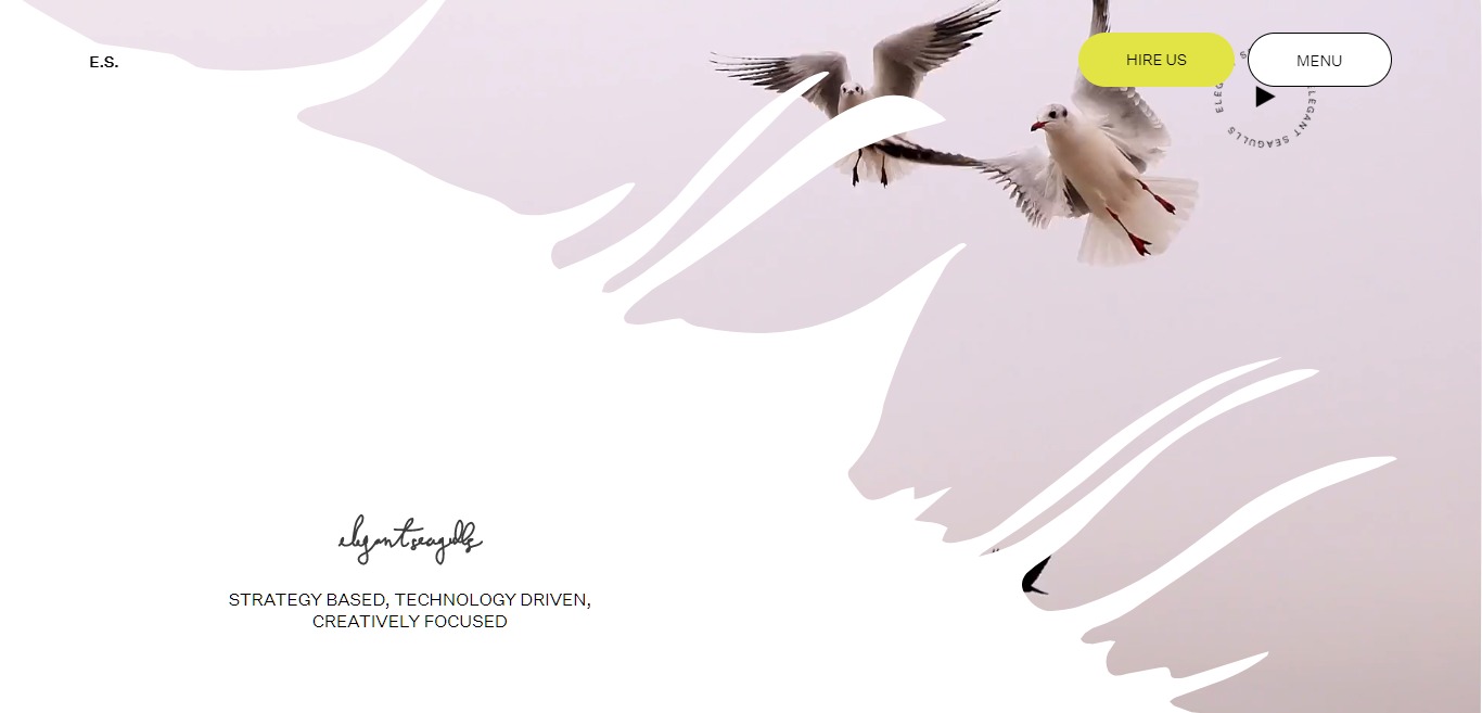 coole website - elegant seagulls