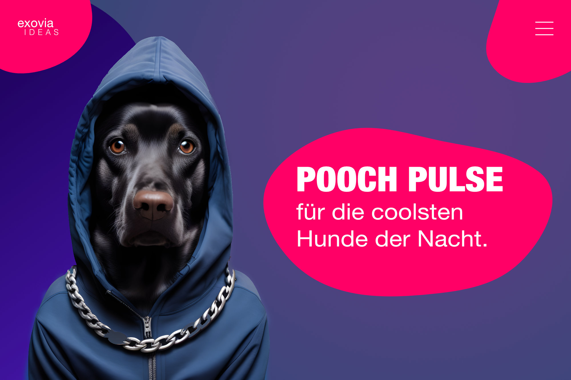 Organisches Website Design Beispiel von exovia mit einem Hund, der einen Hoody trägt.